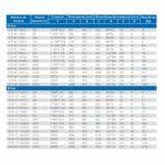 TANQUE HIDRONEUMATICO SUPERFLOW MEMBRANA INTERCAMBIALE - Imagen 2